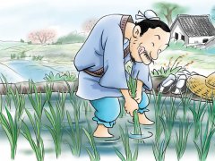 “倒過來”動(dòng)能父母如何教育孩子：請(qǐng)勿“揠苗助長”